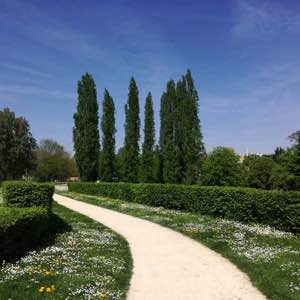 #green #nature #blue #sky #garden #park